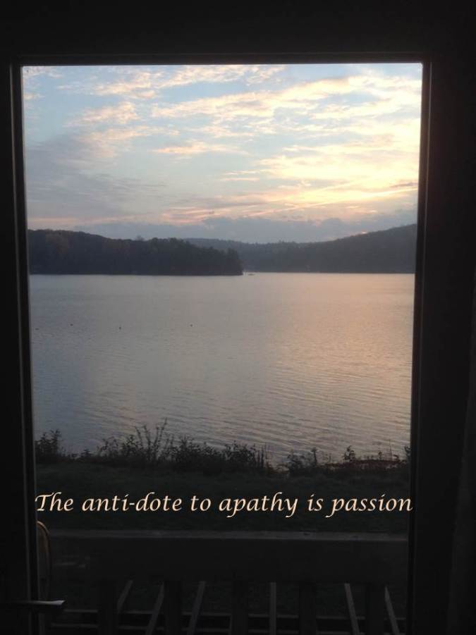blog - antidote to apathy is passion